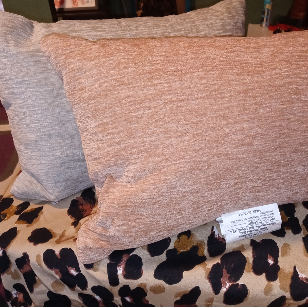 Threshold Throw Pillows